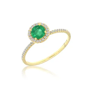 14k Yellow Gold Emerald Ring with Diamonds