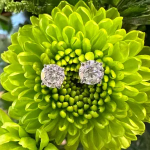 Diamond Stud Earrings in 14K White Gold 1.00 Total Carats Natural
