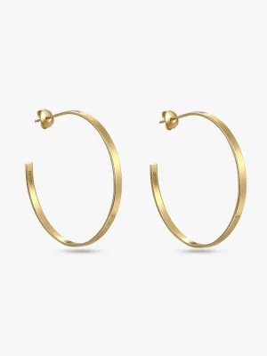 Flat Daily Hoops