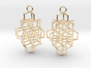 HexIcon Earrings (Metal)