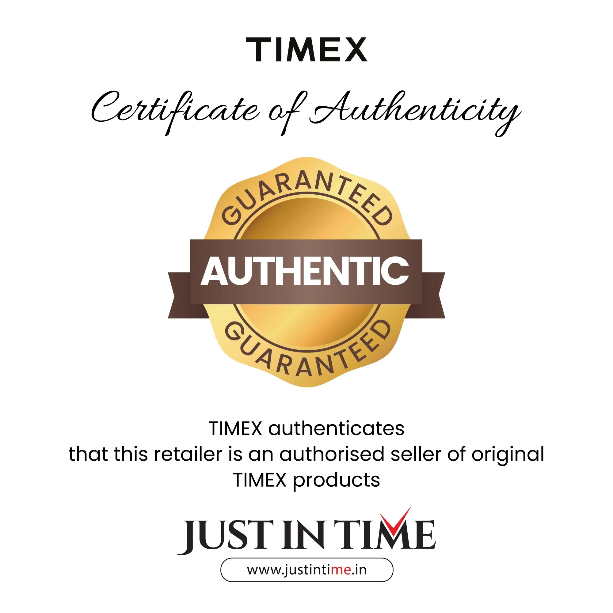 Q TIMEX Men Automatic Champagne Dial Analog Stainless Steel Watch TW2Y07200UJ