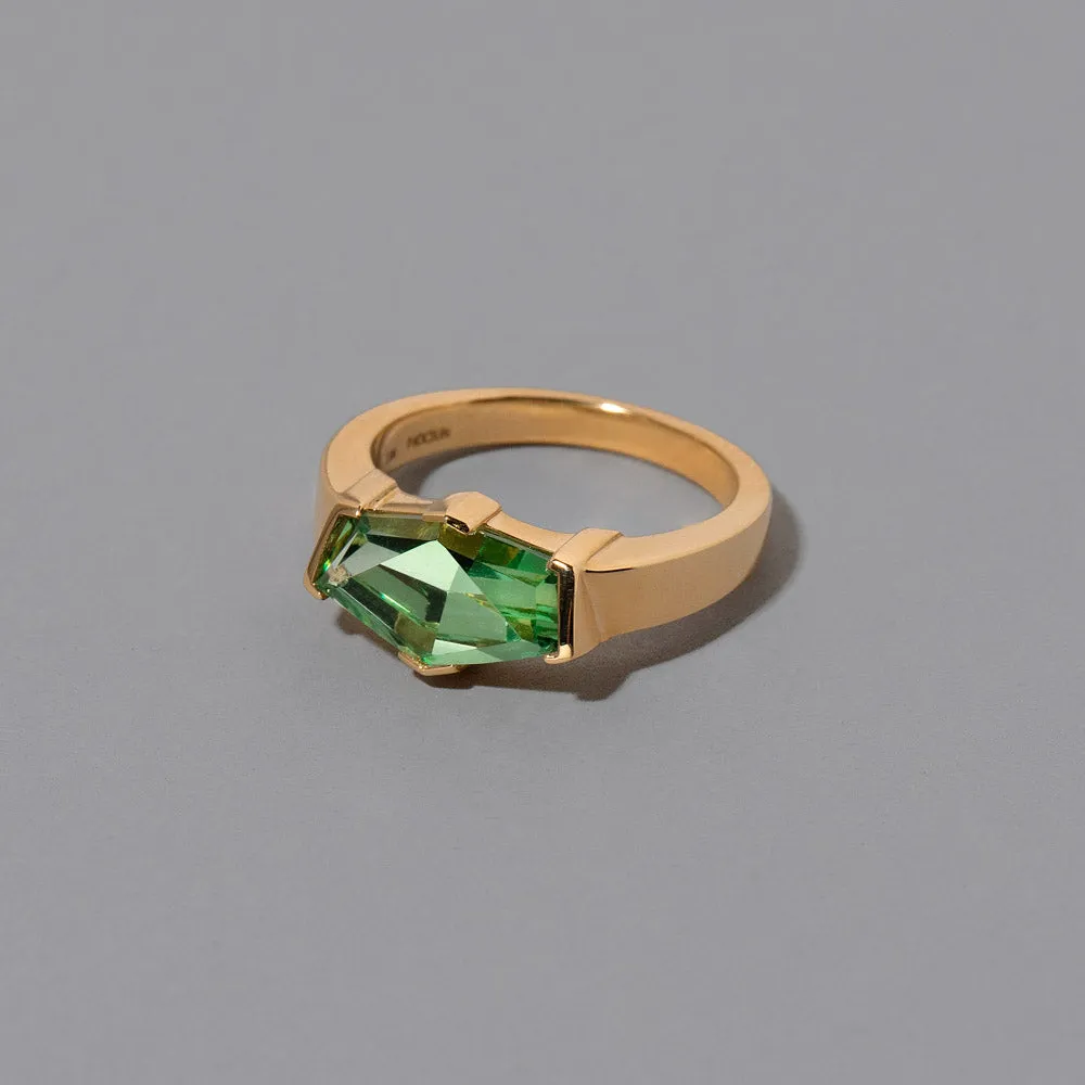 Regeneration Ring