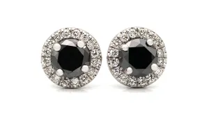 The Black Studs