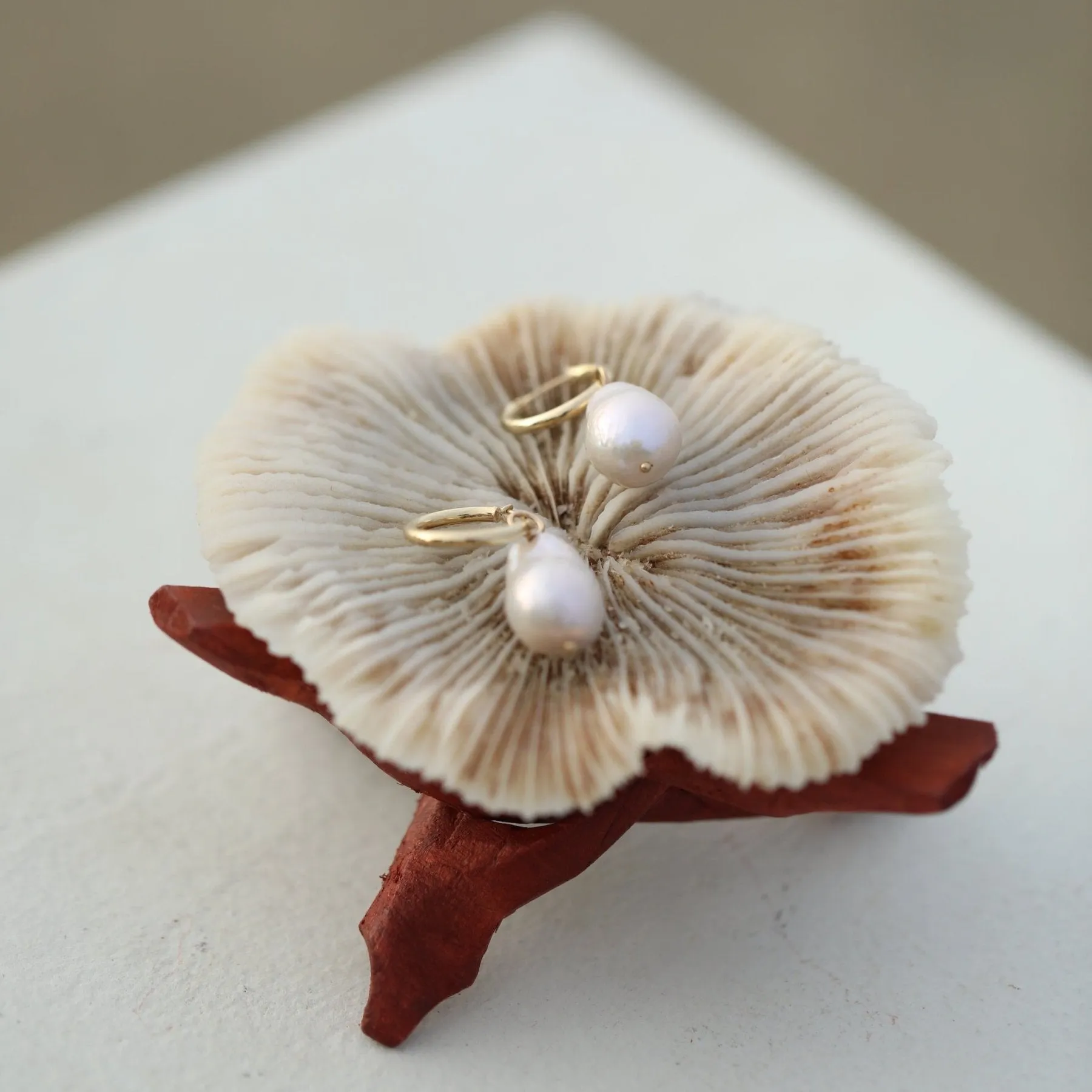 The Ursa Minor Earring in Solid Gold