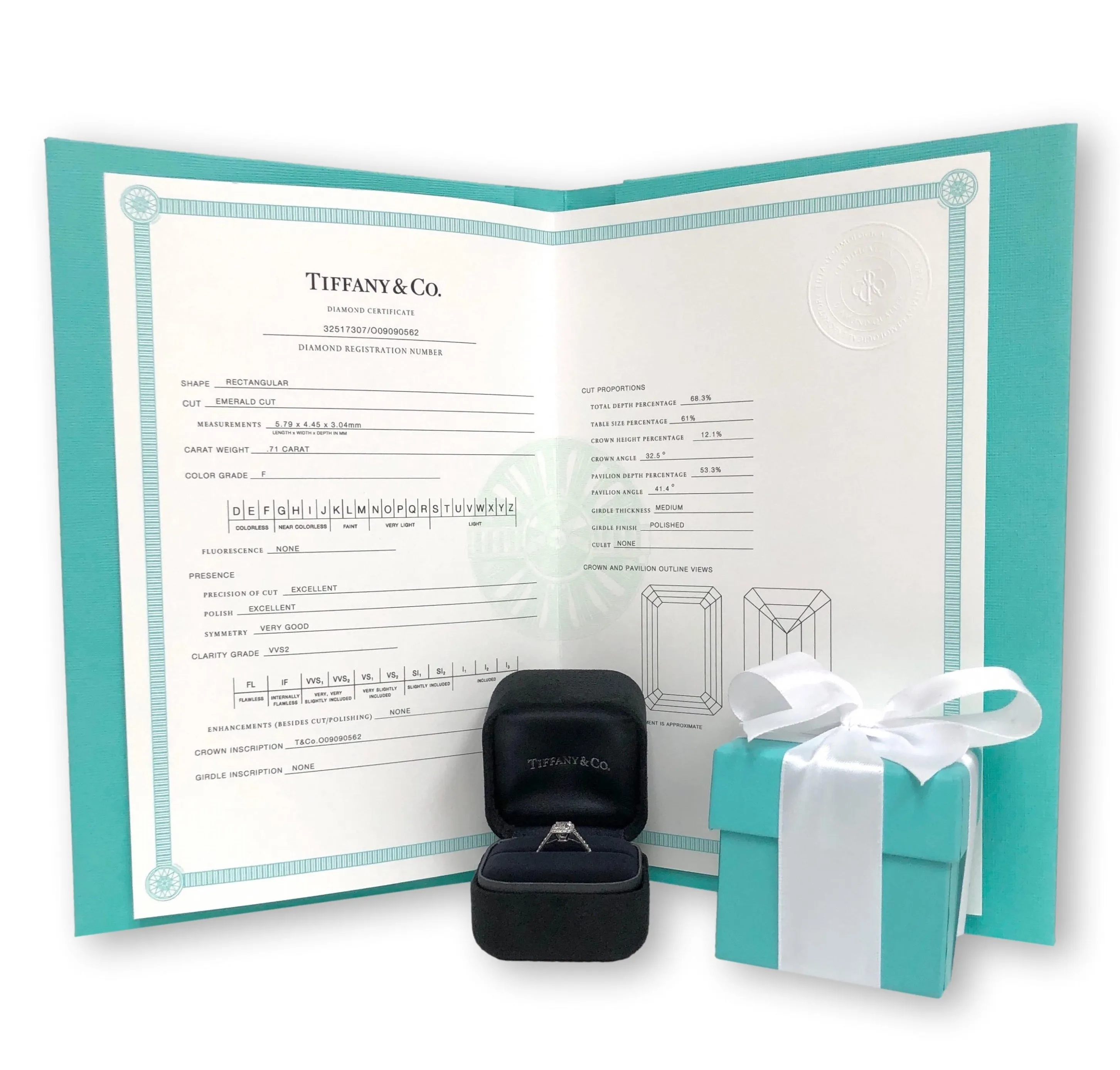 Tiffany & Co. Platinum Soleste Emerald Cut Halo Engagement Ring .97 cts Ttl. FVVS2 Diamond Band